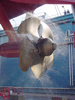 Ship Propeller Image