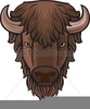 Clipart Of Bison Heads Image