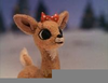 Rudolph Clarice Image