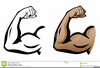 Clipart Flex Arm Muscles Image