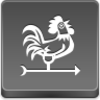 Weathercock Icon Image