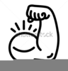 Bicep Clipart Image