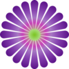 Purple Daisy Clip Art