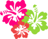 Hibiscus Pink Yellow Clip Art