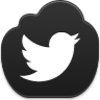 Twitter Bird Icon Image