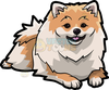 Free Clipart Pomeranian Image