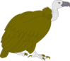 Vulture Clip Art