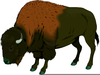 Water Buffalo Clipart Image