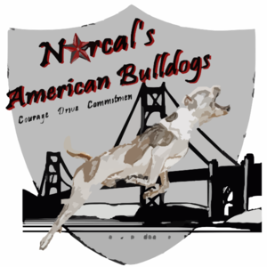 Newnorcallogofinal Clip Art
