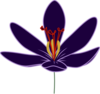 Crocus Blossom Clip Art