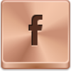 Facebook - Small Icon Image