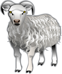 Sheep Md V Clip Art