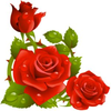 Roses Clipart Borders Image
