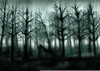 Bosque Tenebroso Dibujo Image