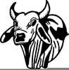 Brahma Bull Clipart Image