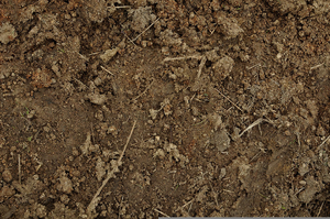Dirt Background Image