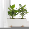 Ikea Planters Australia Image