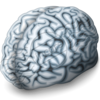 Brain 16 Image