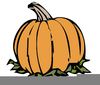 Clipart Picture Of A Pumpkin Image