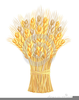 Sheaf Corn Clipart Image