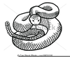 Water Moccasin Clipart Image