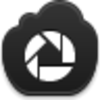 Picasa Icon Image