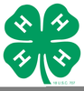 Mini Shamrock Clipart Image
