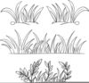 Outline Flower Clipart Image