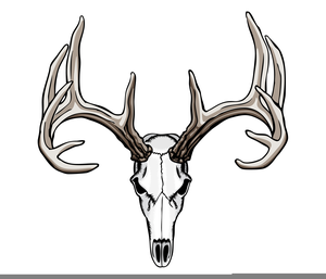 Skull Head Cliparts Image