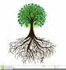 Free Fallfoliage Clipart Image