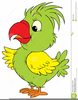 Funny Parrots Free Clipart Image