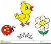 Clipart Pictures Of Ladybirds Image