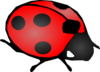 Ladybug Clip Art