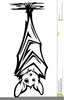 Bat Hanging Upside Down Clipart Image