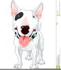 Clipart Bull Terrier Image