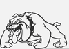 High Resolution Bulldog Clipart Image