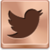 Twitter Bird Icon Image