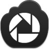 Picasa Icon Image