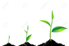 Plant Nursery Clipart Image