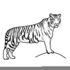 Running Tiger Clipart Image