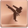 Karate Icon Image