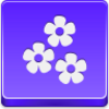 Flowers Icon Image