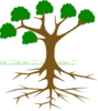 Tree Clip Art