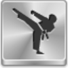 Karate Icon Image