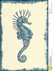 Vintage Seahorse Clipart Image