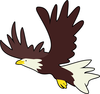 Bald Eagle Image