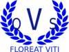 Qvs Fiji Logo Clip Art