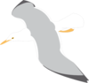 Seagull Clip Art