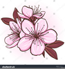 Sakura Free Vector Clipart Image