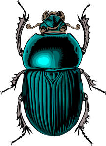 Beetle Bug Clip Art